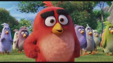 Angry Birds Film (2016) Türkçe Dublajlı 2. Fragman