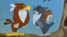 Tom And Jerry 238. Bölüm (Çizgi Film)