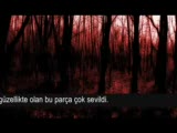 uaral - eternal beauty of trees