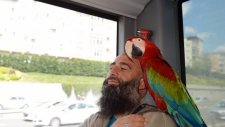 Allah Diyen Papağan Metrobüs Yolcularını Hayrete Düşürdü