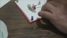 Ölen Kelebekleri Saklama Yöntemi