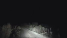 Gece Vakti Canı Sıkılan Kanguru