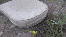 Kertenkele Yakalama