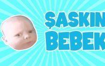 Şaskın Bebek, Su Kazaları, Becerikli Kediler | Komik Gifler #3