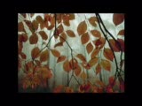 Murat Sakaryalı-Hüzün ( Keman-Violin)