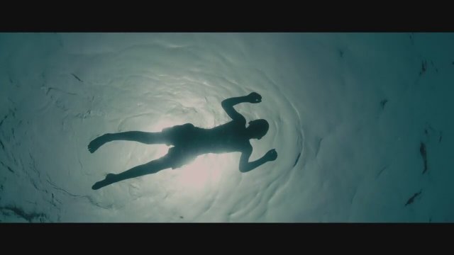 Evolution (2015) Türkçe Altyazılı Fragman