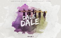Addictive Elements X Mika Violin X Reea - Dale Dale (by Akcent Music)