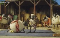 Shaun The Sheep Championsheeps İzle