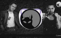 Serdar Ortac Ft.Tan Tasci - Cakal (Catwork Remix Engineers Vers.)