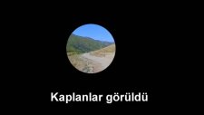 Çoban Köpeklerinin Korkulu Rüyası Gürcü Asker Ve Mevlüt