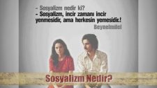 Sosyalizm Nedir?