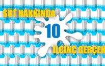 Süt Hakkında 10 İlginç Gerçek | Süt Dersleri #4