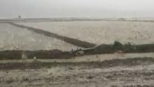 Taş Büyüklüğündeki Dolu Yağışı