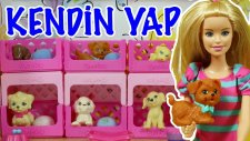 Barbie Bebekleri için Hayvan Barınağı Nasıl Yapılır | EvcilikTV