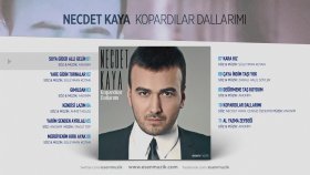 Necdet Kaya - Suya Gider Allı Gelin Necdet Kaya - Suya Gider Allı Gelin
