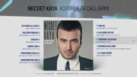 Necdet Kaya - Değirmene Taş Koydum Necdet Kaya - Değirmene Taş Koydum