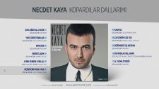 Necdet Kaya - Merdivenim Kırk Ayak