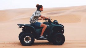 Martin Garrix - Third Party - Lions In The Wild Martin Garrix - Third Party - Lions In The Wild