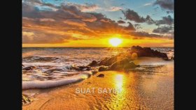 Suat Sayın - Ne Dalım Ne çiçeğim Suat Sayın - Ne Dalım Ne çiçeğim