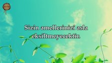 Muhammed Suresi - Ebubekir Şatıri (Kıraat 2) | fussilet Kuran Merkezi