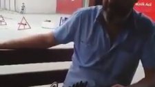 Kanun Taksim - Yeşil Başlı Gövel ördek