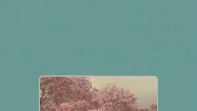 Beirut - As Needed Beirut - As Needed