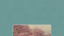 Beirut - At Once