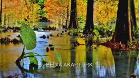 Bedia Akartürk - Aman Eşref Bedia Akartürk - Aman Eşref