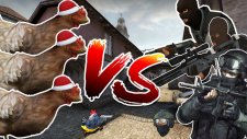 TAVUKLAR VS İNSANLAR !
