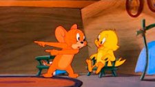 Tom And Jerry 252. Bölüm (Çizgi Film)