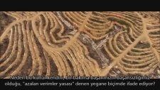Modern Toplumun Problemi Ne? - Alan Watts