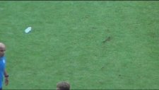 Gattuso Kafasına Şişe Yedi! - Sporx