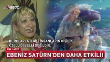 Burçlar Yıldızlar Hikaye, Ebenizin Etkisi Şahane!