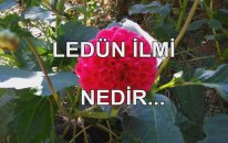 Ledün İlmi Nedir...