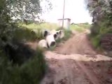 Deveci Köyü