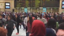 Brussel Central Station IFLC Show (Türkçe Olimpiyatları)