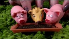 Farmers Day Part 2 - Mutlu Cocuk