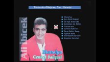 Ali İbicek - Manolya