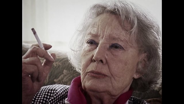 Zkaza krasou (2016) Fragman