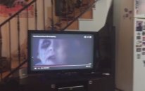 Korku Filmi İzlerken Korkan Köpek