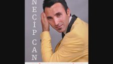 Necip Can - Dağlar Duman Böyle 2016