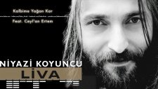 Niyazi Koyuncu feat. Ceyl'an Ertem - Kalbime Yağan Kar