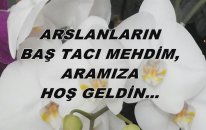 Arslanların Baş Tacı Mehdim, Aramıza Hoşgeldin...