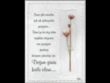 Erhan Güleryüz Doğum Günü