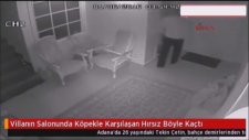 Hırsızın Salonda Köpekle Karşılaşması (Yine Adana)