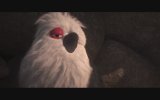 Ploey You Never Fly Alone - Teaser