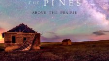 The Pines - Sleepy Hollow
