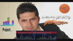 Çankırılı Şaban Gürsoy - Kedi Çankırılı Şaban Gürsoy - Kedi
