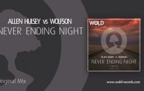 Wolfson Vs. Allen Hulsey - Never Ending Night (Original Mix)