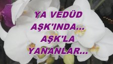 Ya Vedüd Aşk'ında... Aşk'la Yananlar...